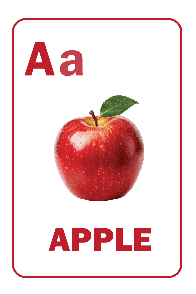 Alphabet with letters