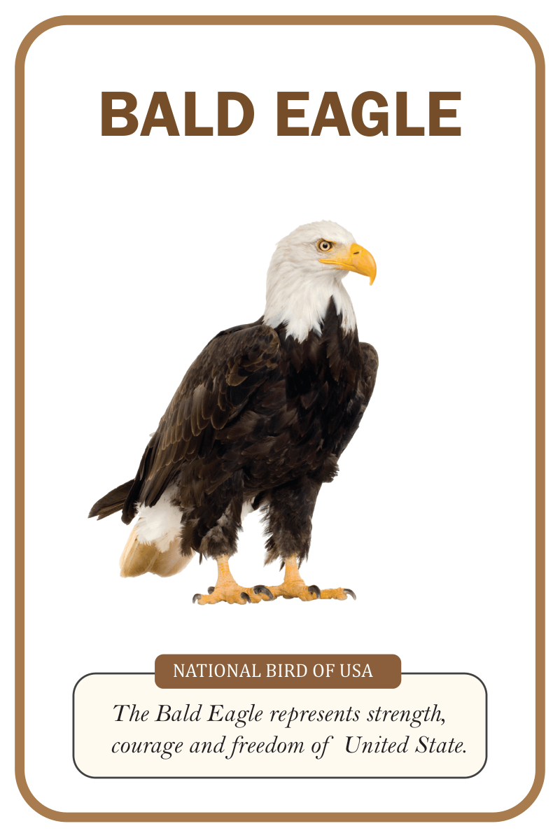 National birds