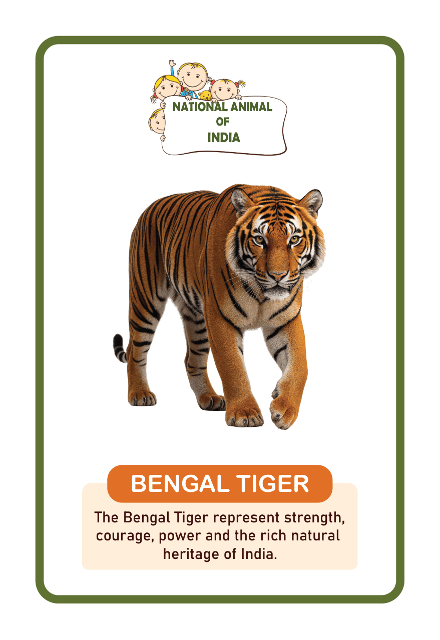 National animals