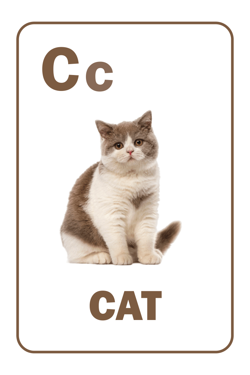 Alphabet with letters
