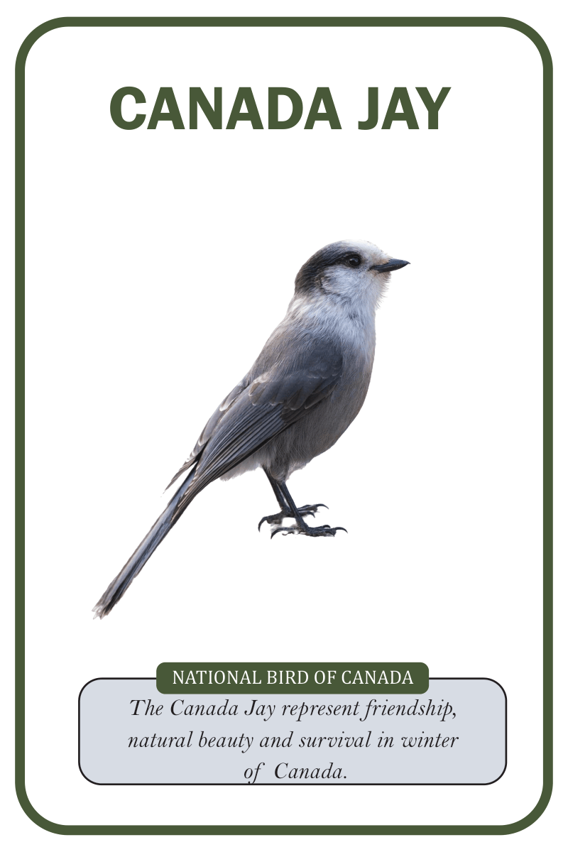 National birds
