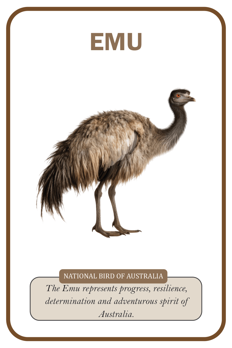 National birds